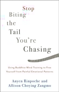 Stop Biting the Tail You're Chasing