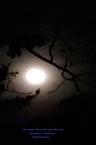 Way, the Truth and The Life Story.