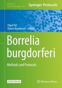Borrelia burgdorferi