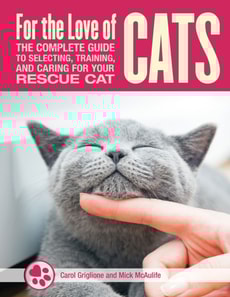 For the Love of Rescue Cats