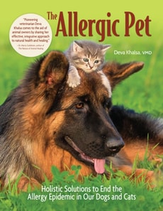 Allergic Pet