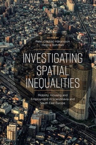 Investigating Spatial Inequalities