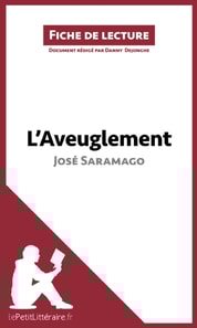 L'Aveuglement de José Saramago (Fiche de lecture)