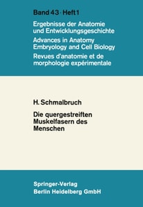 Die quergestreiften Muskelfasern des Menschen