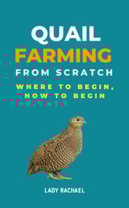 Quail Farming From Scratch: Where To Begin, How To Begin