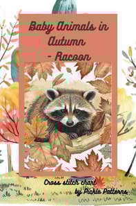 Baby Animals In Autumn - Racoon