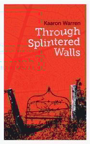 Through Splintered Walls