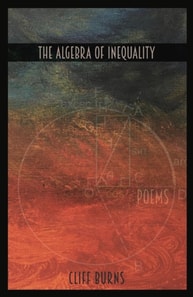 Algebra of Inequality