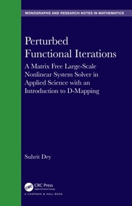 Perturbed Functional Iterations