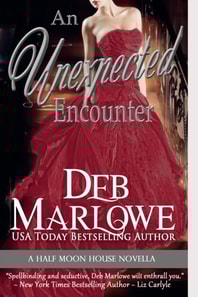Unexpected Encounter ( Half Moon House, Novella 1)