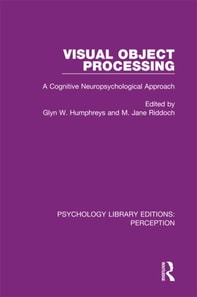 Visual Object Processing