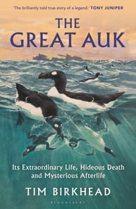 Great Auk