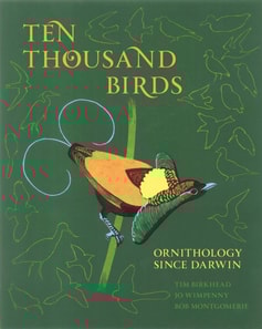 Ten Thousand Birds