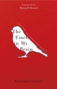 Finch in My Brain