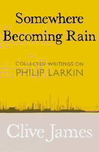 Somewhere Becoming Rain