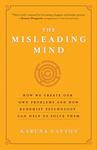 Misleading Mind