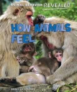 How Animals Feel