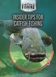 Insider Tips for Catfish Fishing
