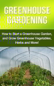 Greenhouse Gardening