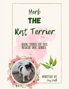 Herb The Rat Terrier