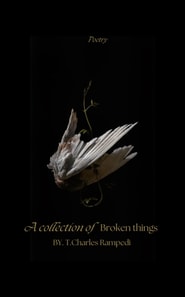 Collection Of Broken Things