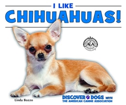 I Like Chihuahuas!