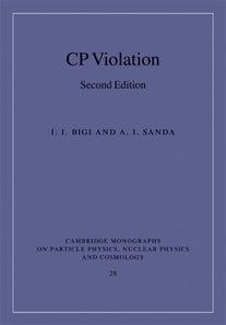 CP Violation