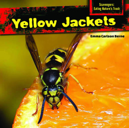 Yellow Jackets