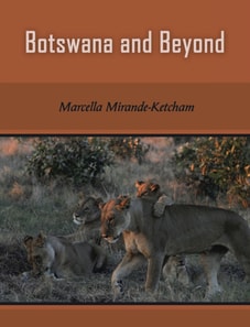 Botswana and Beyond