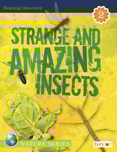 Strange and Amazing Insects