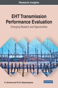 EHT Transmission Performance Evaluation: Emerging Research and Opportunities
