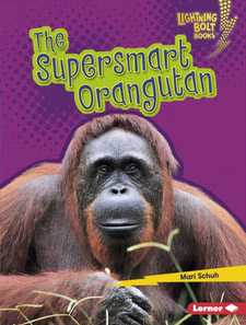 Supersmart Orangutan