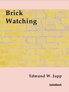 Brick Watching