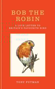 Bob the Robin
