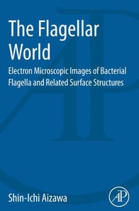 Flagellar World