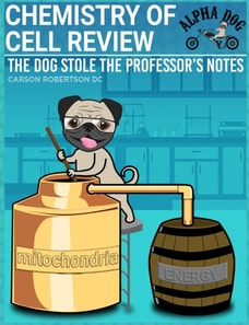 Chemistry of Cell Review - Quick Review Notes Chapter 2