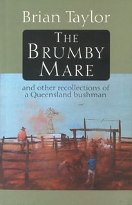 Brumby Mare