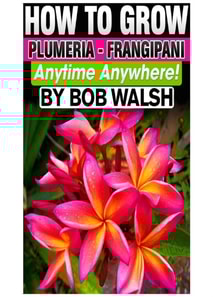 How To Grow Plumeria - Frangipani Anytime Anywhere!
