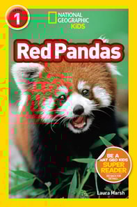Red Pandas (National Geographic Kids Readers, Level 1)