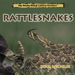 Rattlesnakes