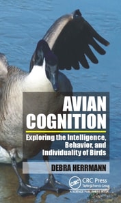Avian Cognition