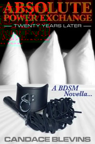 Absolute Power Exchange: Twenty Years Later