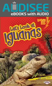 Let's Look at Iguanas