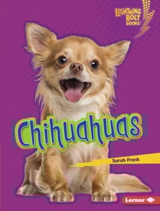 Chihuahuas