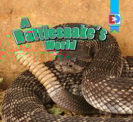 Rattlesnake's World