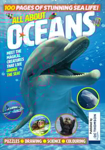 All About Oceans