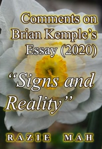 Comments on Brian Kemple's Essay (2020) &quote;Signs and Reality&quote;