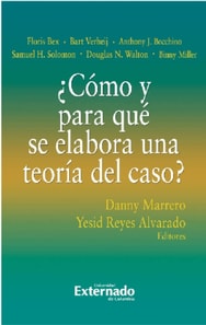 ¿Cómo y para qué se elabora una teoría del caso?