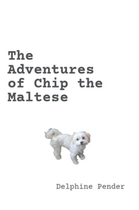 Adventures of Chip the Maltese