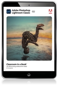 Adobe Photoshop Lightroom Classic Classroom in a Book (2022 release)